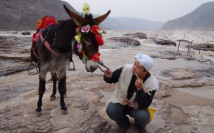 Zhou Hui QIngdao Artist