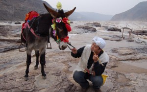 Zhou Hui QIngdao Artist