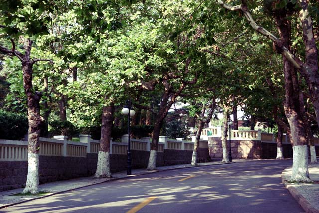 impressionsyumibdg