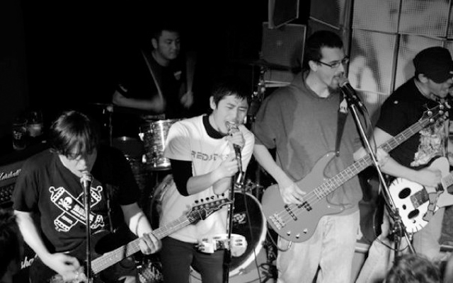Dama Llamas at Redstar