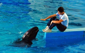 Ocean Heaven in Qingdao