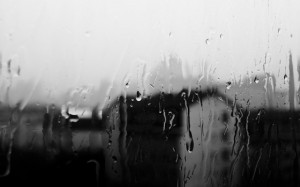 Qingdao Photos Lin Xun Rain