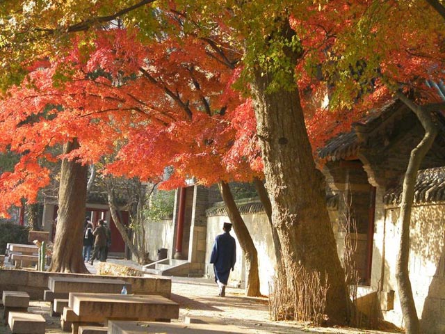 Laoshan Qingdao Photos Monk