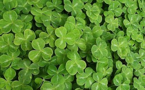St Patrick's Day Party at Lennon Bar Qingdao