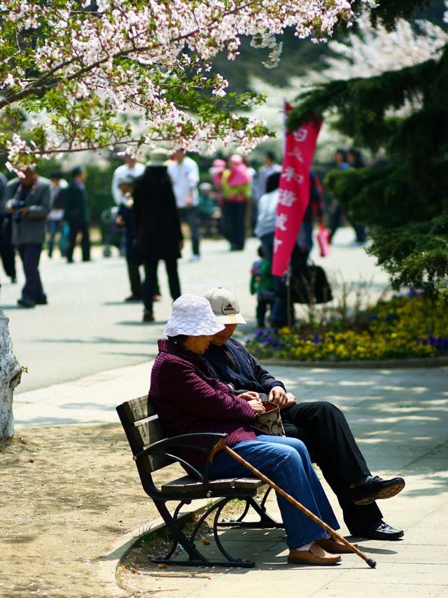 Zhongshan Park Qingdao Bench