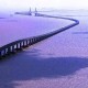 Qingdao Huangdao Bridge