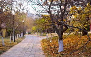 Qingdao Photos Mai Dou Autumn Walk