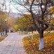 Qingdao Photos Mai Dou Autumn Walk