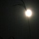 Full Moon Qingdao October Kaifaqu