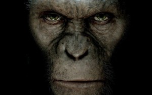 Now Showing: Rise of the Planet of the Apes