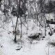 Qingdao snow morning