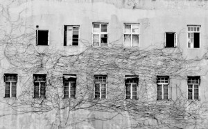 qingdaoseen_treeprint_linxun