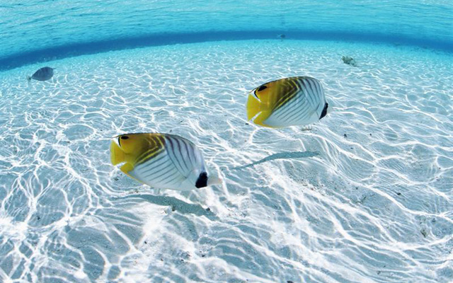 Qingdao Desalination Water Reuse Conference