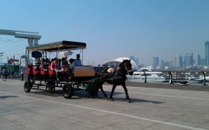 Qingdao Photos Olympic Sailing Center Horse Carriage Jane Frances