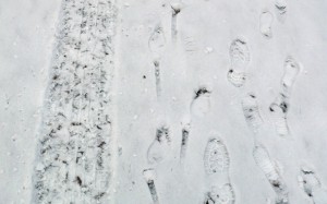 Snowprints Huangdao Qingdao