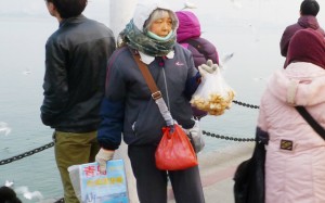 Day in the Life Qingdao Ren 青岛人 by Lin Zimo